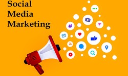 Elevate Your Online Presence with NeedleAds Technology: A Top-tier Social Media Marketing Agency in Delhi