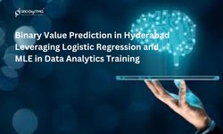 "Binary Value Prediction in Hyderabad: Leveraging Logistic Regression and MLE in Data Analytics Training"