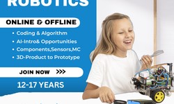 Empowering Young Minds: The Rise of Summer Robotic Classes for Kids