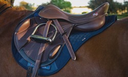 Choosing the Right Equine Saddle: A Comprehensive Guide