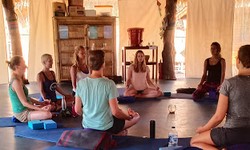 Unlocking Inner Harmony: Bali Reiki Trainings for USA Yogis