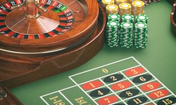 Navigating the Path to Safety: Understanding the Importance of Casino Verification