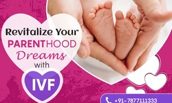 Nurturing Parenthood Dreams: Understanding IVF Treatment and Success Rates