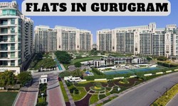 Flats in Gurugram | 2/3/4/5 BHK Flats For Sale