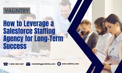 How to Leverage a Salesforce Staffing Agency for Long-Term Success - VALiNTRY
