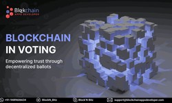 Blockchain based E-Voting Systems