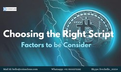 Choosing the Right Clone Script: Factors to Consider"