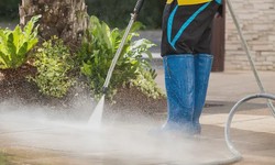 Revitalize Your Space: Elevate with Professional Pressure Washing Services
