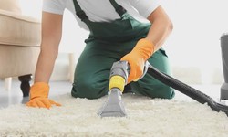 Unveiling the Secrets of Top-notch Professional Carpet Cleaning Services