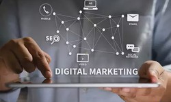 Where should I look for the best digital marketing service providers?