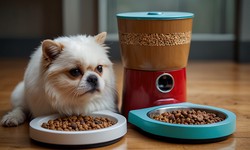 Feed Your Furry Friends with Ease: The Magic of Automatic Pet Feeders