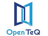 Driving Efficiency: OpenTeQ's NetSuite Integration Consultants