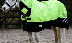 Lightweight Turnout Rugs: The Best Choice for Your Horse