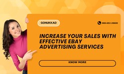 Increase Your Sales With Effective eBay Advertising Services