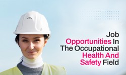 Job Opportunities In The Occupational Health And Safety Field