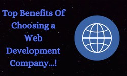 What are the top benefits of a web development company?