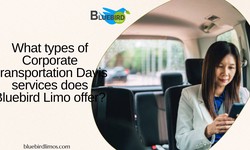 What types of Corporate Transportation Davis services does Bluebird Limo offer?