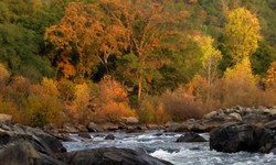 Why Whitewater Rafting on the American River is a Must-Try Experience