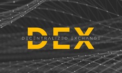 Making a Profitable Crypto Exchange: Insights from DEX Platforms