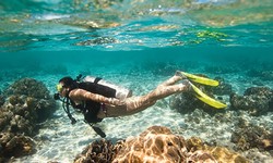 Benefits Of Learning Scuba Diving