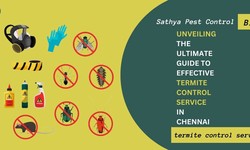 The Definitive Guide to Effective Termite Control Services in Chennai