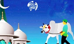Celebrate Eid al-Adha with Affordable Qurbani Options in the UK (2024)