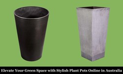 Elevate Your Green Space with Stylish Plant Pots Online in Australia