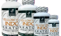 The Rise of Kratom Capsules: Understanding Benefits, Risks, and Usage