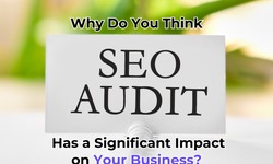 Why Do You Think SEO Audit Has a Significant Impact on Your Business?