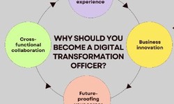 Why should you become a Digital Transformation Officer?