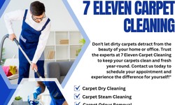 7 Eleven Carpet Cleaning Lynnwood: Professional Carpet Cleaning Services