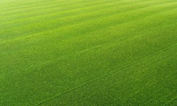 Sustainable Landscaping: Enhancing Beauty with Artificial Turf