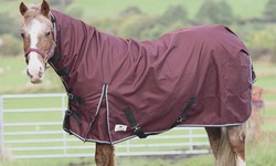 Comfort and Freedom: Why Your Horse Will Love a No-Fill Turnout Rug
