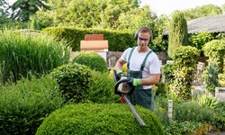 Why Year-Round Garden Services Are a Smart Investment?