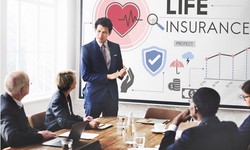 Quality Assurance: Understanding the Top 10 Life Insurance Companies