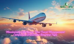 Maximizing Efficiency: How Travel Management Companies Streamline Business Trips