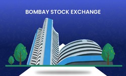 How to Choose the Right Stocks on the Bombay Stock Exchange