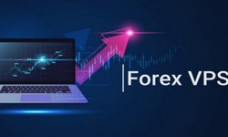 Cheap Forex VPS Solutions Set New Standards in Trading Access