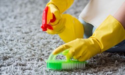 Unveiling the Secrets of Professional Carpet Cleaning in Reservoir