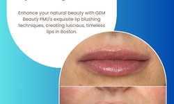 Permanent Makeup: Enhancing Beauty with GEM Beauty PMU