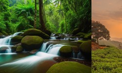 Exploring the Tranquil Beauty of Kannan Devan Hills and Nedumbassery: Hidden Gems of Kerala