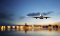 Up, Up, and Away: Maximizing Your Potential Through Airline Education