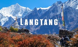 Langtang Valley Trek Difficulty: Is It Suitable for You?