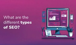 Getting Started with SEO: Understanding Types