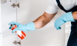 Best Residential Pest Control Services For Your Home And Buildings