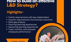 How to build an effective L&D Strategy?
