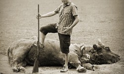 The Legacy of Buffalo Hunting: A Historical Exploration