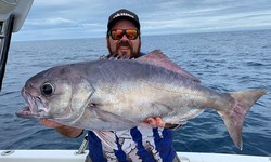 Exploring the Depths: A Guide to Deep Sea Charters