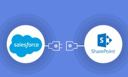 The Ins and Outs of Salesforce Sharepoint Integration