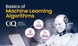 Unleash the Power of Data: Dive into Machine Learning Online